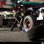 Canidae 2013 Mint 400